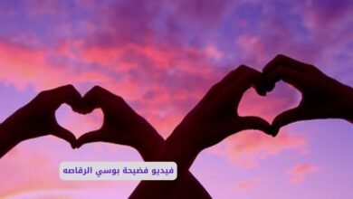 سكس مصري الراقصه بوسي