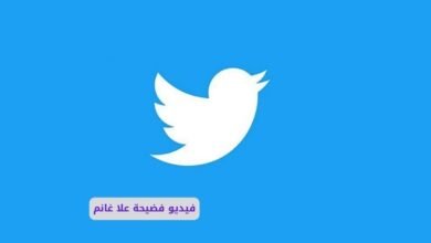 فيديو سكس علا غانم كامل