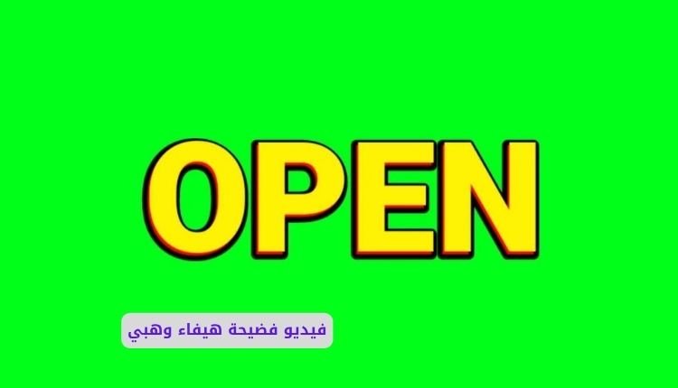 فيديو سكس هيفاء وهبي كامل