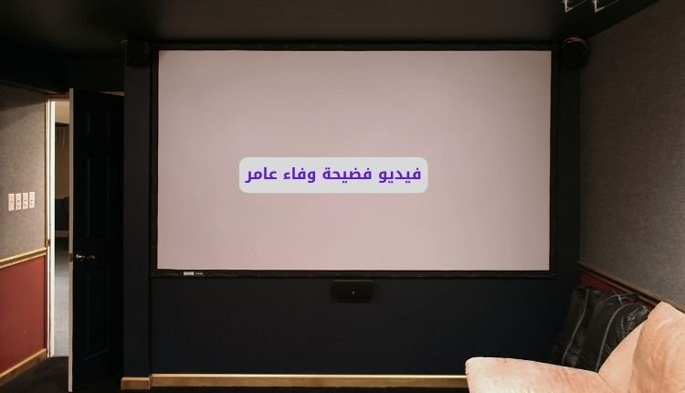 فيديو سكس وفاء عامر كامل